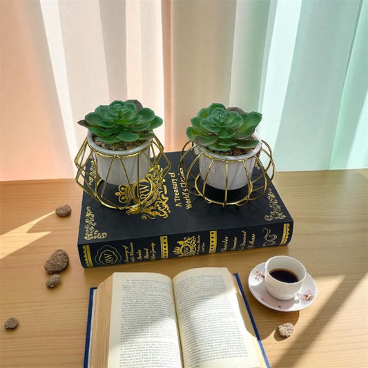 Luxury Succulent Plant Pots with Golden Cage Design